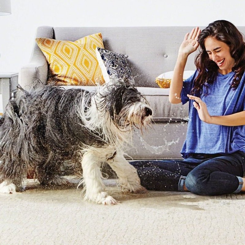 dog shaking water off to dry off in front of woman sitting on the ground